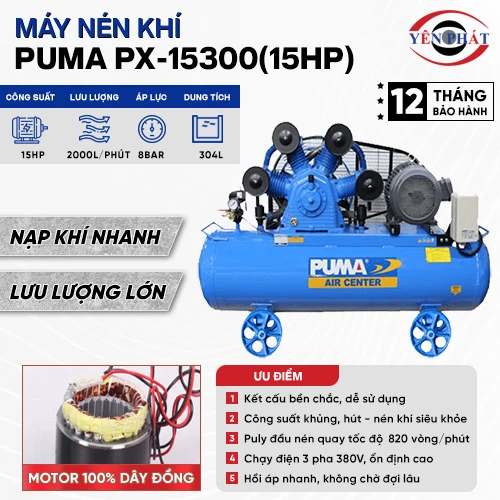 Máy nén khí Puma PX-15300(15HP) 2