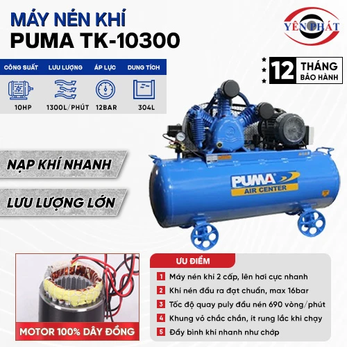 Máy nén khí Puma TK-10300 2