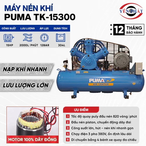 Máy nén khí Puma TK-15300 2