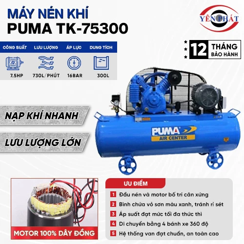 Máy nén khí Puma TK-75300 2