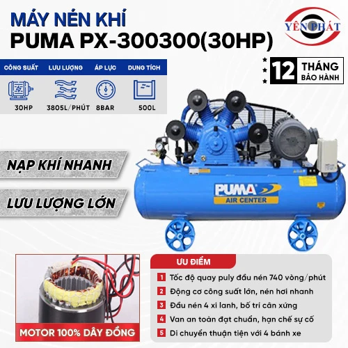 Máy nén khí Puma PX-300300(30HP) 2