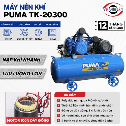 Máy nén khí Puma TK-20300 2