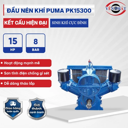 Đầu nén khí Puma Đài Loan PK15300 (15HP) 2