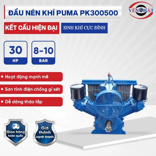 Đầu nén khí Puma Đài Loan PK300500 (30HP) 2