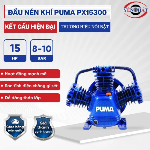 Đầu nén khí Puma PX15300 (15HP) 2