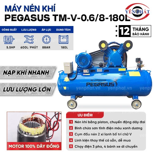 Máy nén khí dây đai Pegasus TM-V-0.6/8-180L 2