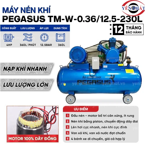 Máy nén khí dây đai Pegasus TM-W-0.36/12.5-230L 2