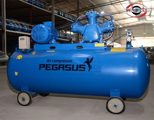 Máy nén khí Pegasus TM-W-0.67/8-500L
