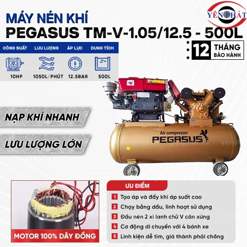 Máy nén khí chạy dầu Pegasus TM-V-1.05/12.5 - 500L 2