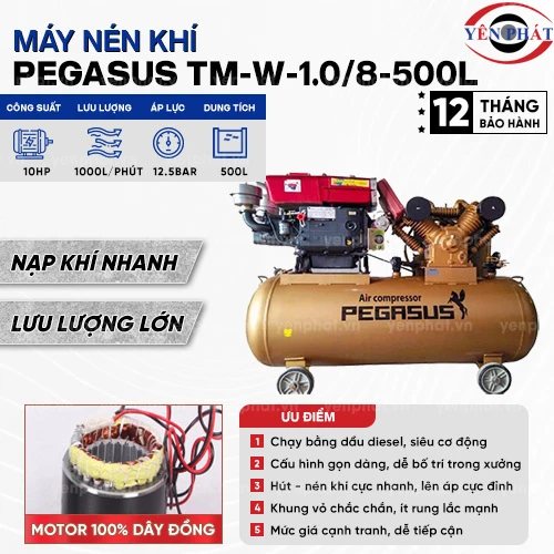 Máy nén khí chạy dầu Pegasus TM-W-1.0/8-500L 2
