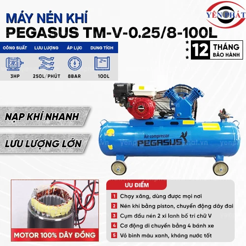 Máy nén khí đầu nổ chạy xăng Pegasus TM-V-0.25/8-100L 2