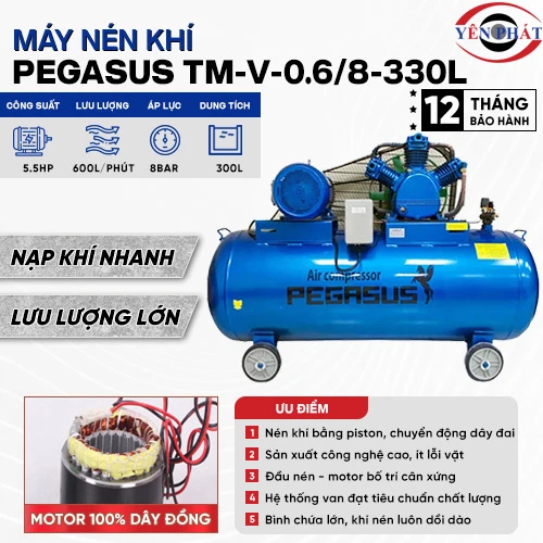 Máy nén khí dây đai Pegasus TM-V-0.6/8-330L 2
