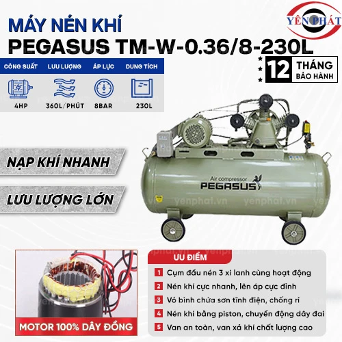 Máy nén khí dây đai Pegasus TM-W-0.36/8-230L 2