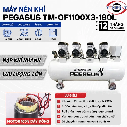 Máy nén khí không dầu giảm âm Pegasus TM-OF1100x3-180L 2