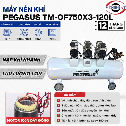 Máy nén khí không dầu giảm âm Pegasus TM-OF750x3-120L 2