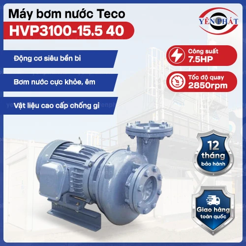 Máy bơm nước ly tâm dạng xoáy Teco đầu gang 7.5HP HVP3100-15.5 40 2