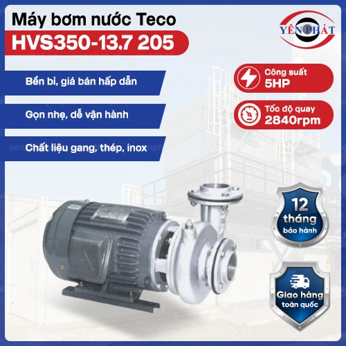 Máy bơm nước ly tâm dạng xoáy Teco đầu inox 5HP  HVS350-13.7 205 2