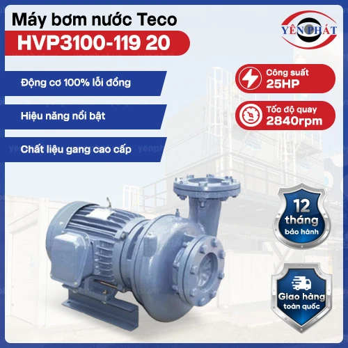 Máy bơm nước ly tâm Teco đầu gang 25HP HVP3100-119 20 2