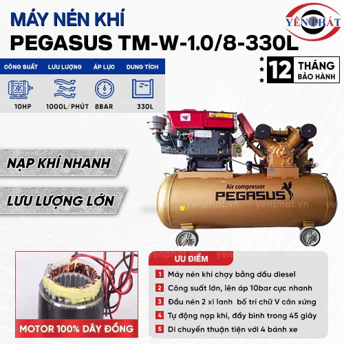Máy nén khí chạy dầu Pegasus TM-W-1.0/8-330L 2
