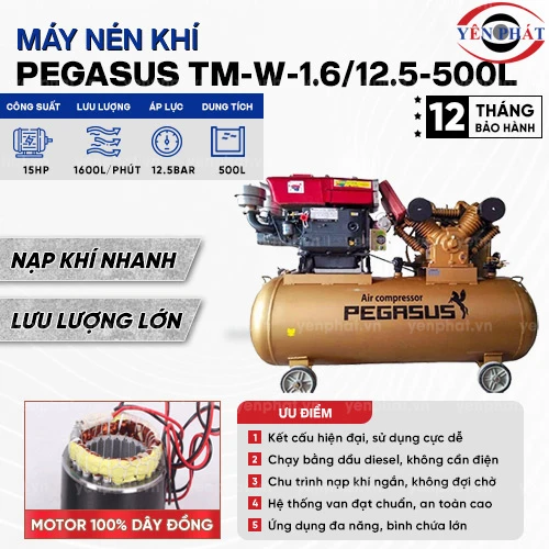Máy nén khí chạy dầu Pegasus TM-W-1.6/12.5-500L 2