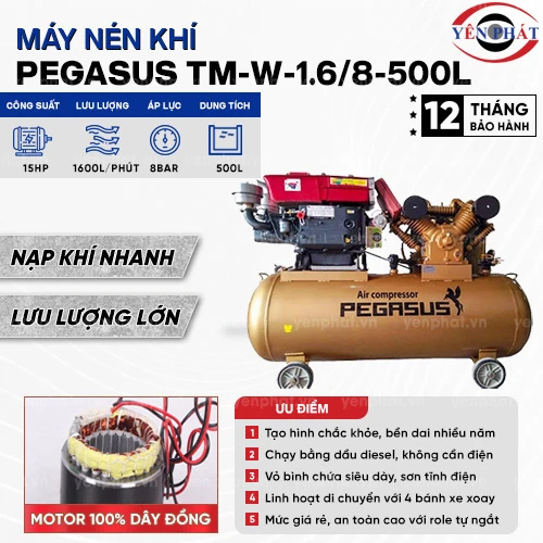 Máy nén khí chạy dầu Pegasus TM-W-1.6/8-500L 2