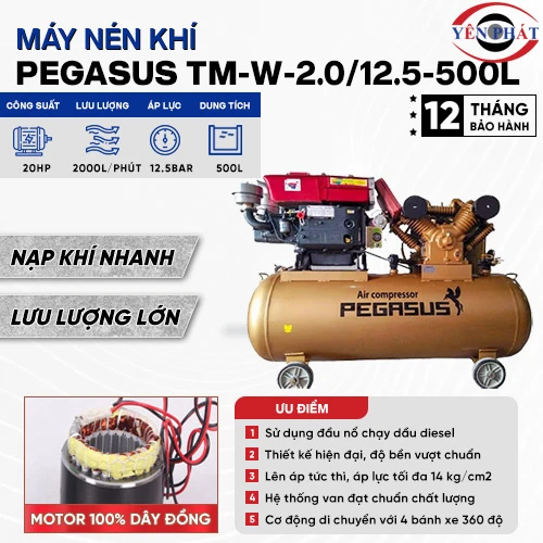 Máy nén khí chạy dầu Pegasus TM-W-2.0/12.5-500L 2