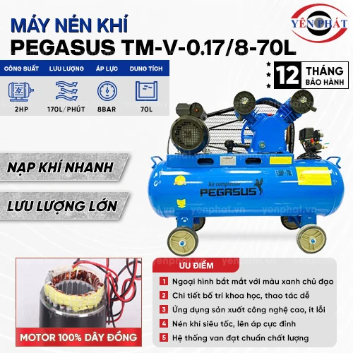 Máy nén khí mini Pegasus TM-V-0.17/8-70L 2