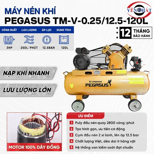 Máy nén khí công nghiệp Pegasus TM-V-0.25/12.5-120L 2