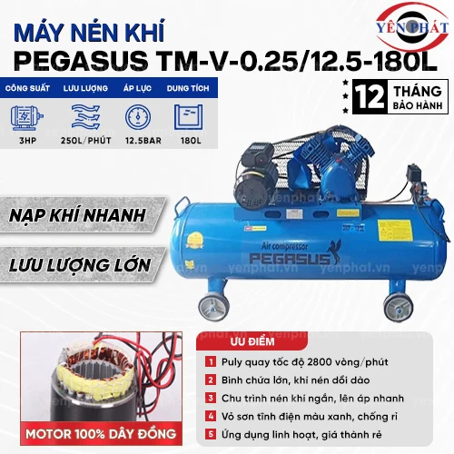 Máy nén khí Pegasus TM-V-0.25/12.5-180L 2