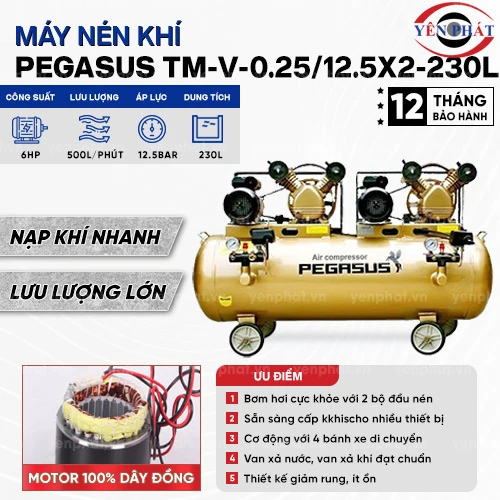 Máy nén khí Pegasus TM-V-0.25/12.5x2-230L 2