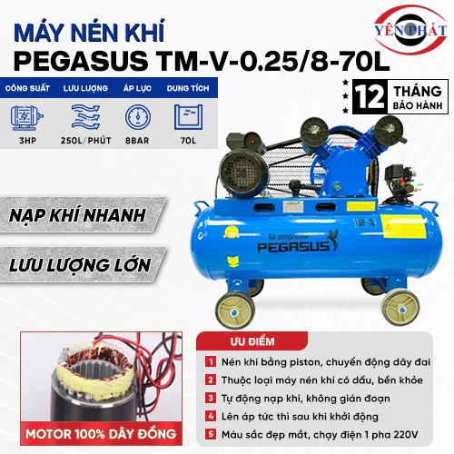 Máy nén hơi Pegasus TM-V-0.25/8-70L 2