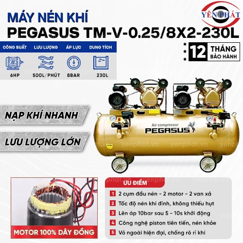 Máy nén khí Pegasus TM-V-0.25/8x2-230L 2