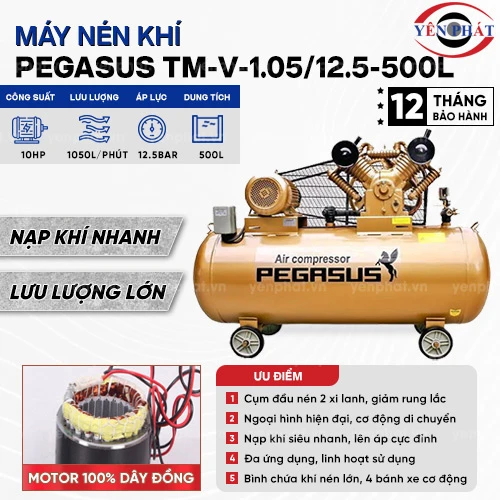 Máy nén khí Pegasus TM-V-1.05/12.5-500L 2