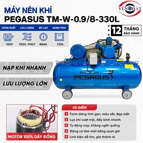Máy nén khí pegasus TM-W-0.9/8-330L 2