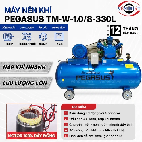 Máy nén khí Pegasus TM-W-1.0/8-330L 2