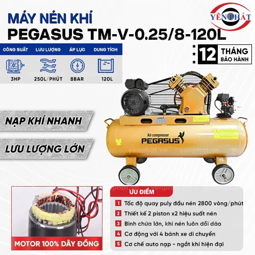 Máy nén khí công nghiệp Pegasus TM-V-0.25/8-120L 2