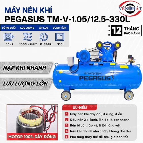 Máy nén khí Pegasus TM-V-1.05/12.5-330L 2