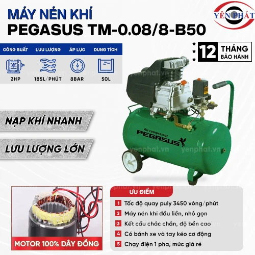 Máy nén khí mini đầu liền PEGASUS TM-0.08/8-B50 2