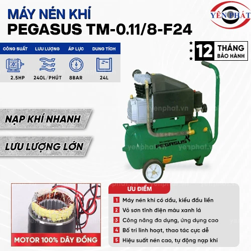 Máy nén khí đầu liền PEGASUS TM-0.11/8-F24 2