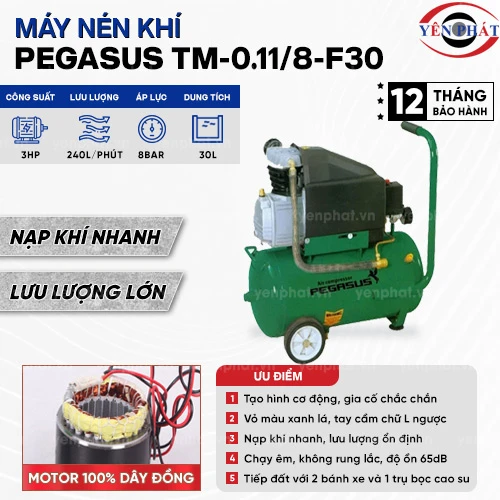 Máy nén khí đầu liền PEGASUS TM-0.11/8-F30 2