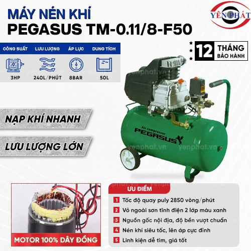 Máy nén khí đầu liền PEGASUS TM-0.11/8-F50 2