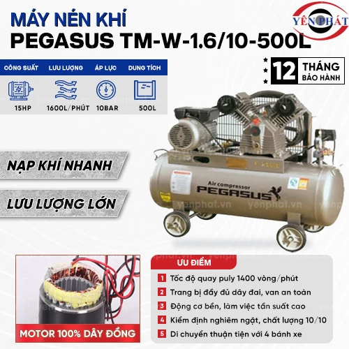 Máy nén khí Pegasus TM-W-1.6/10-500L 2