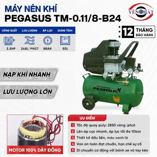 Máy nén khí đầu liền PEGASUS TM-0.11/8-B24 2
