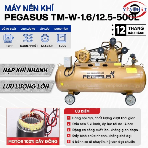 Máy nén khí dây đai Pegasus TM-W-1.6/12.5-500L 2