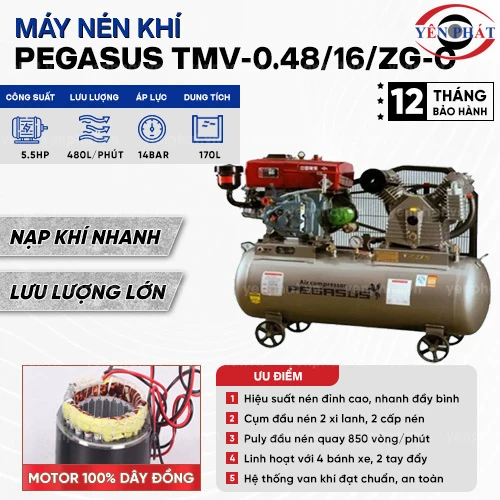 Máy nén khí dây đai PEGASUS TMV-0.48/16/ZG-C 2