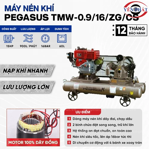 Máy nén khí dây đai PEGASUS TMW-0.9/16/ZG/CS 2