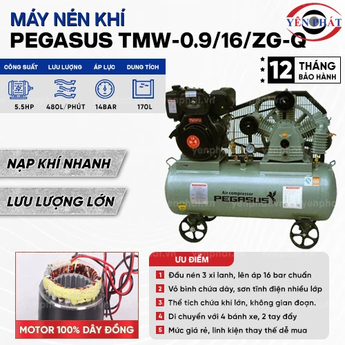 Máy nén khí dây đai PEGASUS TMW-0.9/16/ZG-Q 2