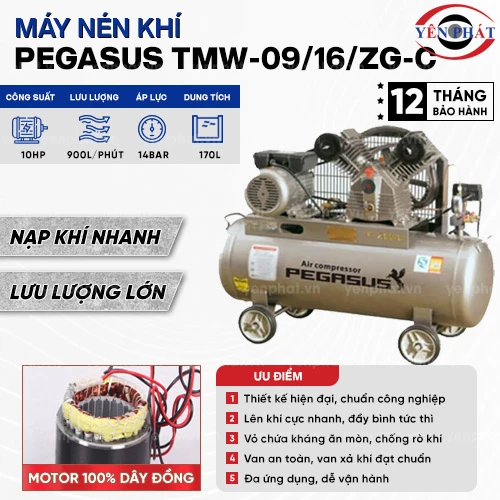 Máy nén khí dây đai PEGASUS TMW-09/16/ZG-C 2