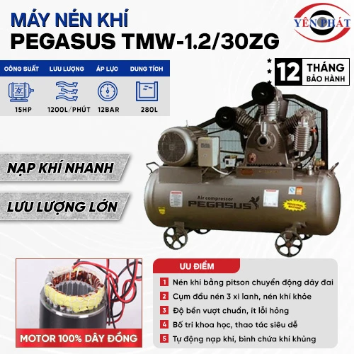 Máy nén khí dây đai PEGASUS TMW-1.2/30ZG 2