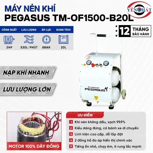 Máy nén khí mini giảm âm PEGASUS TM-OF1500-B20L 2